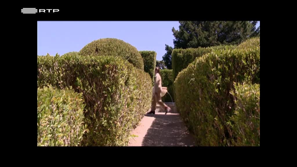 Imagem de República das Perguntas