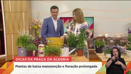 Imagem de Praça da Alegria
