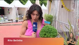 Imagem de Praa da Alegria