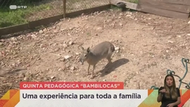 Imagem de Praça da Alegria