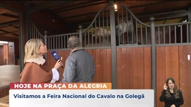 Imagem de Praa da Alegria