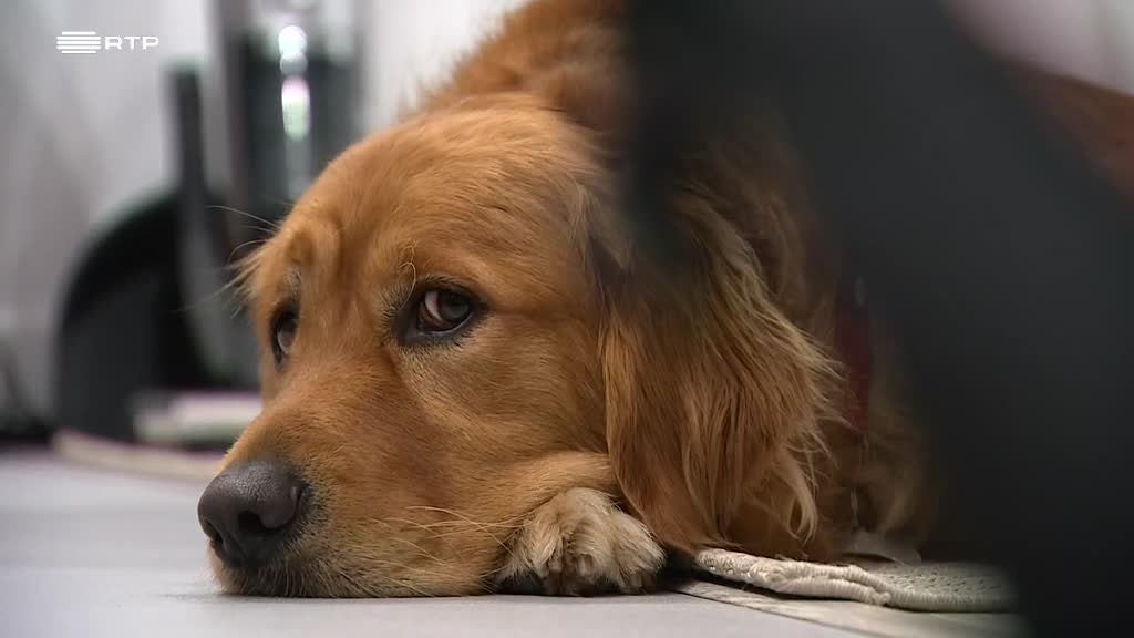 Imagem de Outras Histórias - Marta Passo a Passo; Dançar Outra Vez