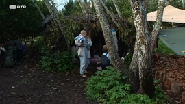 Imagem de As Ilhas Verdes; Crescer na Floresta