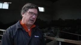 Imagem de A Alma da Serra