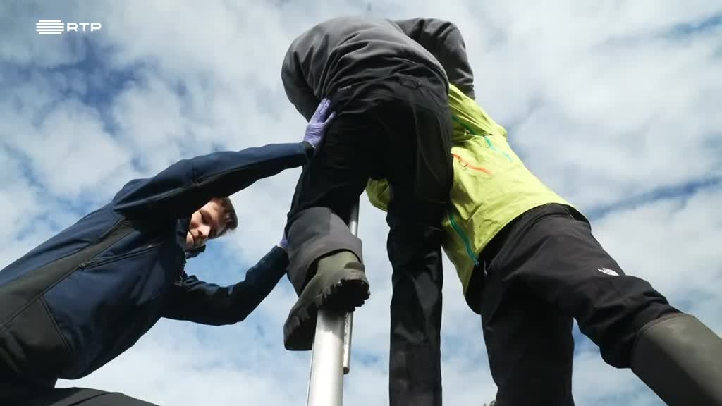 Imagem de Linha da Frente - Terra Verde