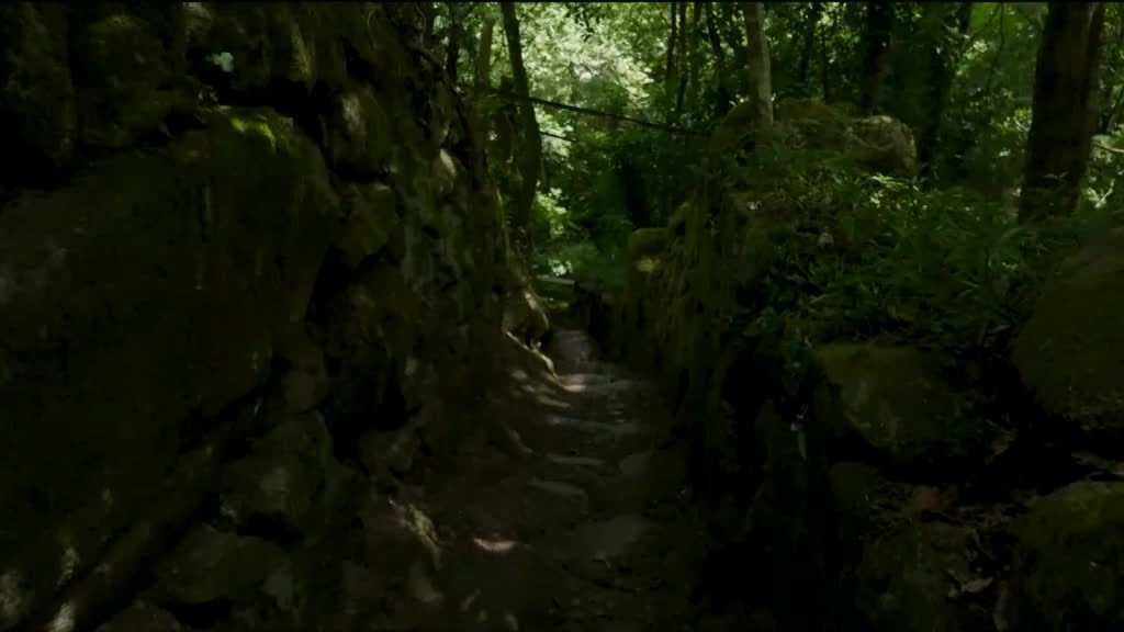 Imagem de Linha da Frente