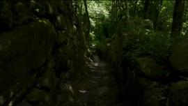 Imagem de Linha da Frente