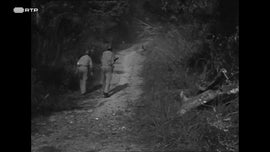 Imagem de Marcados Pela Guerra