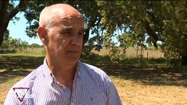 Imagem de A Prova dos Factos