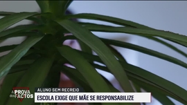 Imagem de A Prova dos Factos