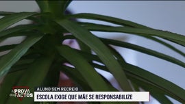 Imagem de A Prova dos Factos