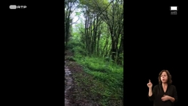 Imagem de Conversas Abertas na Universidade