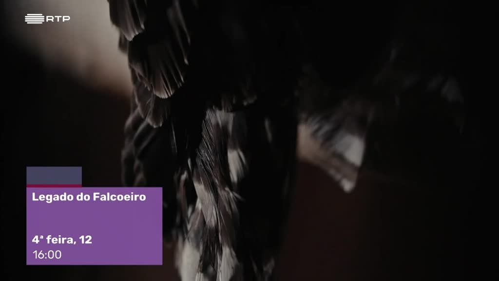 Imagem de Temos Programa