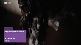 Imagem de Temos Programa