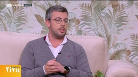 Imagem de Madeira Viva