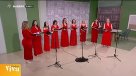 Imagem de Madeira Viva