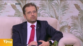 Imagem de Madeira Viva