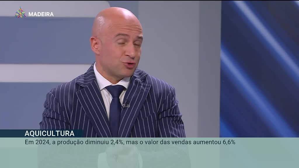 Imagem de Madeira em Números 2025