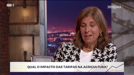 Imagem de Tudo é Economia