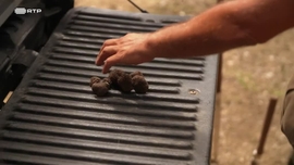 Imagem de À Volta do Monte Olimpo: O Meio Divino da Grécia