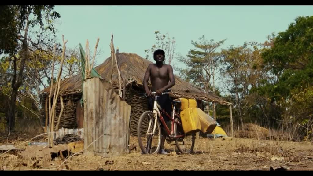 Imagem de Músicas d´África