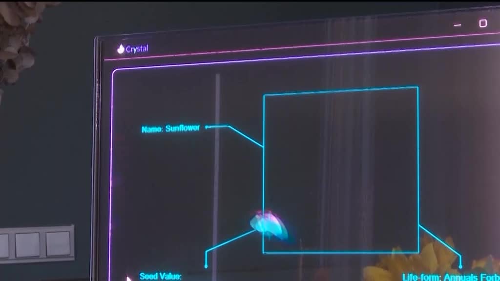 Imagem de Explosão Criativa