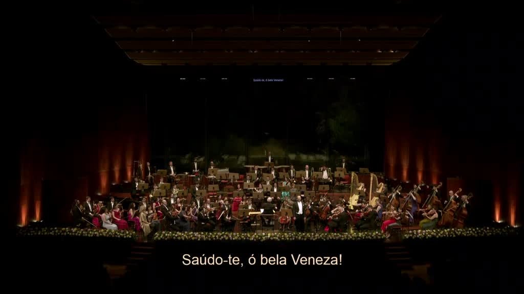 Imagem de Concerto de Ano Novo com Orquestra Gulbe