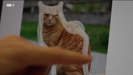 Imagem de Lenovo Chromebook Plus