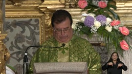 Imagem de Viseu: XVI Domingo do Tempo Comum