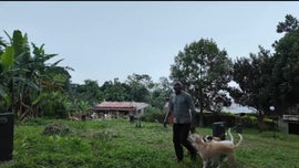 Imagem de Regressar e Recome�ar