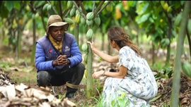 Imagem de Best Of 2025 - IV