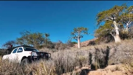 Imagem de P�rolas do Oceano