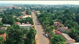 Imagem de Resili�ncia e Sobreviv�ncia