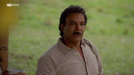 Imagem de Açúcar
