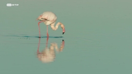 Imagem de Jardim dos Deuses