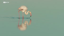 Imagem de Jardim dos Deuses