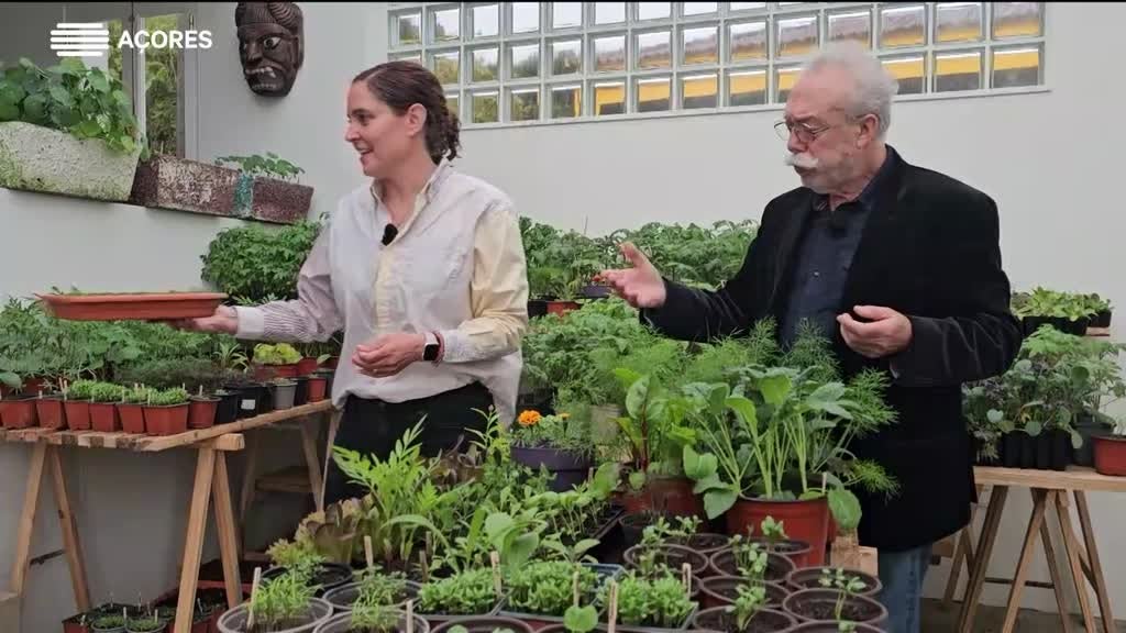 Imagem de Sabores das Ilhas - 2024 - Horta | Faial