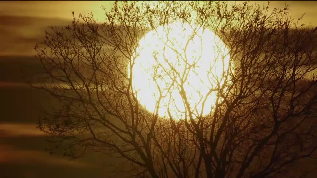 Imagem de Luiza de Jesus - A Macabra História da