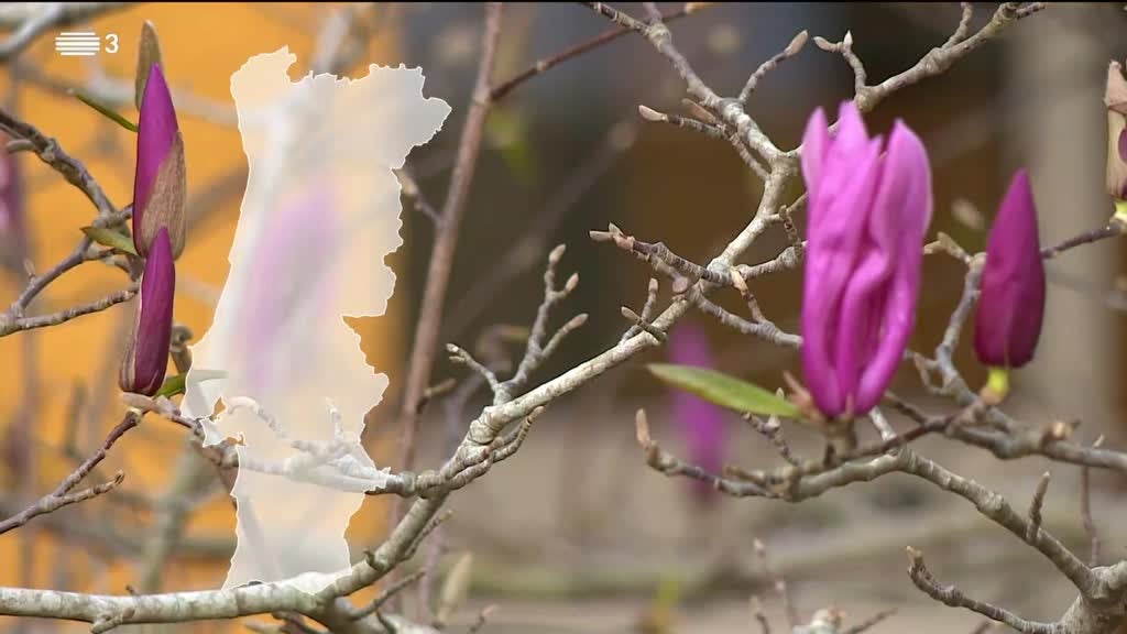 Imagem de Europa à Porta