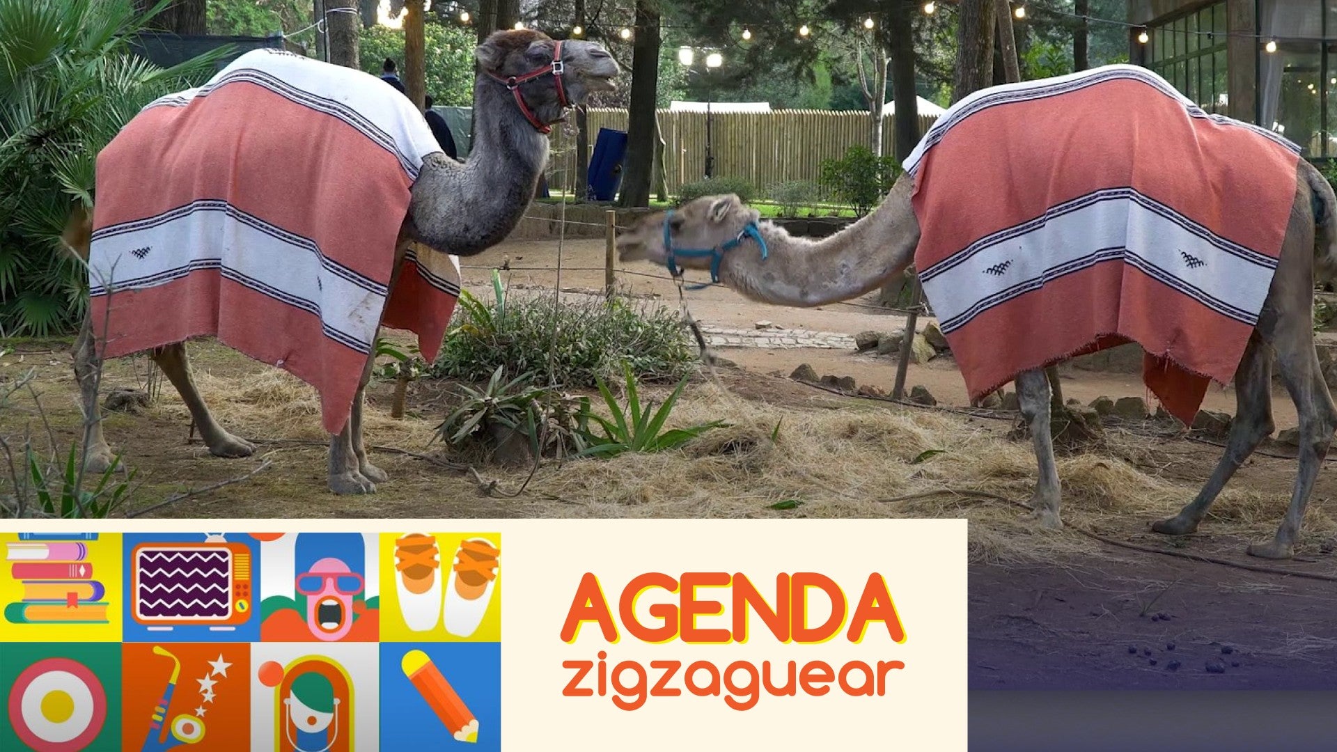 Imagem de Agenda Zigzaguear