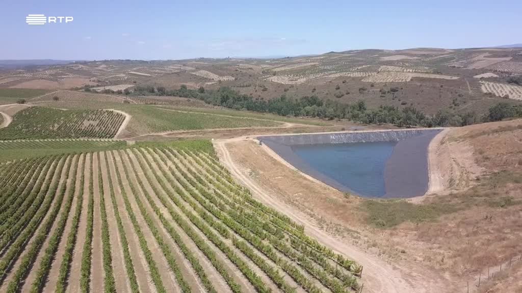 Imagem de A Essência