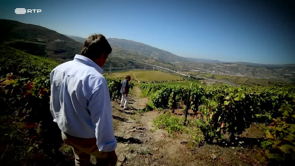 Imagem de A Essência