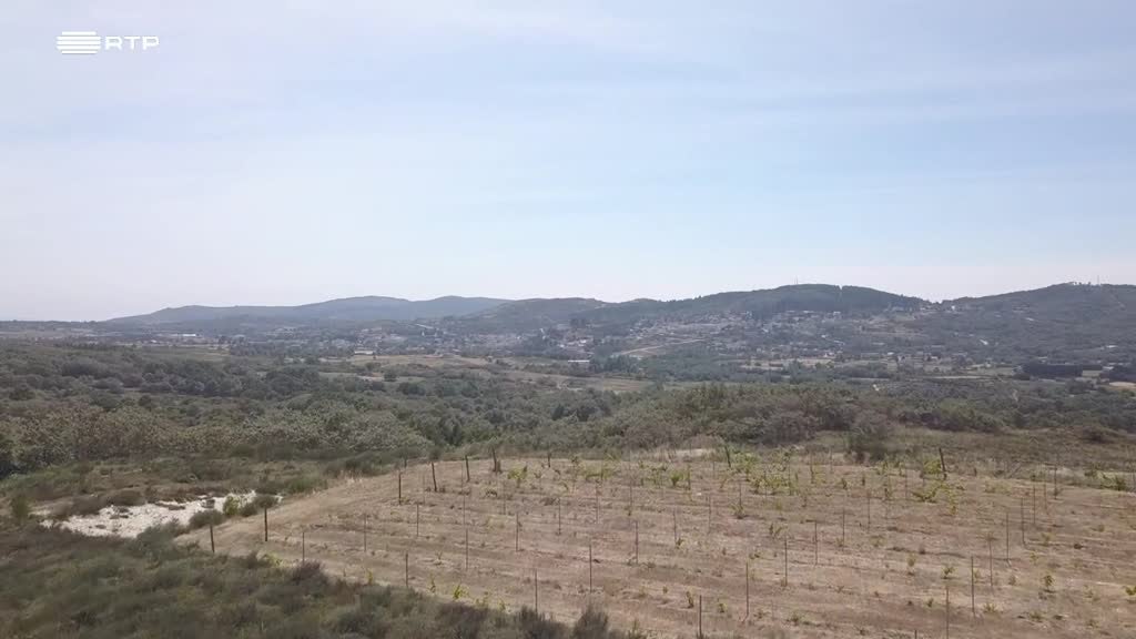 Imagem de A Essência