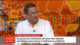Imagem de Agricultura em África, Que Futuro?