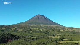 Imagem de Os Novos Baleeiros: H� um Povo Milagreiro no Meio do Oceano - Parte I