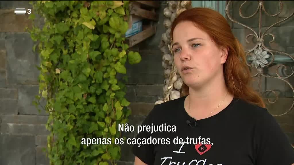 Imagem de Terra Europa