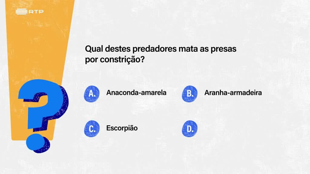 Imagem de Sempre a Tempo