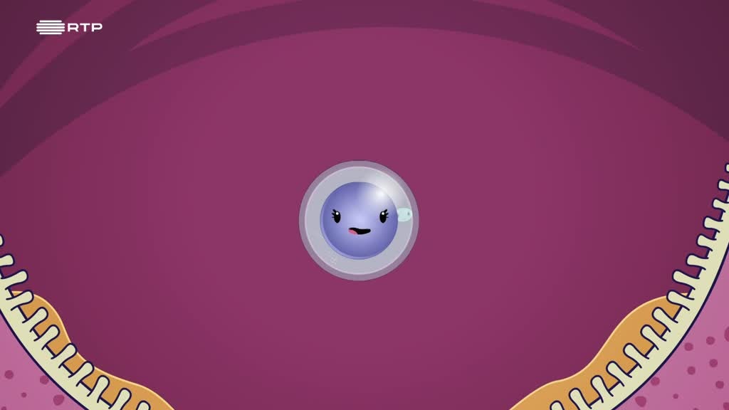 Imagem de Sex Symbols - Gravidez