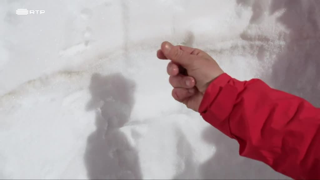 Imagem de Os Segredos do Monte Olimpo