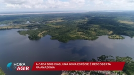 Imagem de A Floresta da Amazónia
